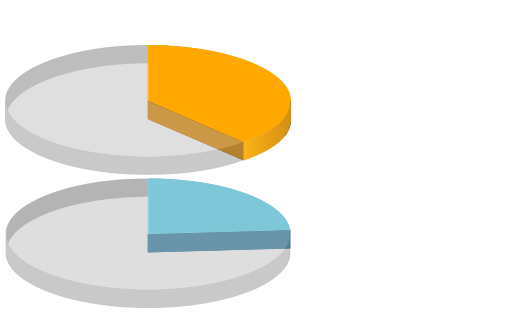 Physical therapy<br />/Rehabilitation